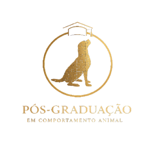 Pós-graduação VDC