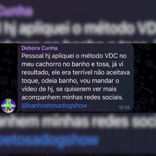 Depoimento 4
