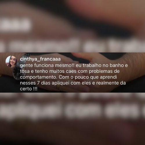 Depoimento 5