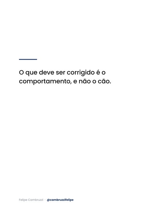 Página de respiro